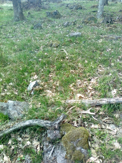 prvý pohľad je najkrajší