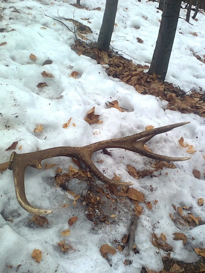 začiatok sezony 2012