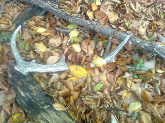 konečne sa zadarilo