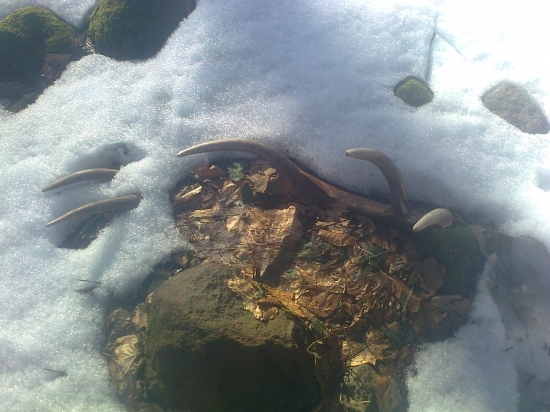 z dnešnej vychádzky