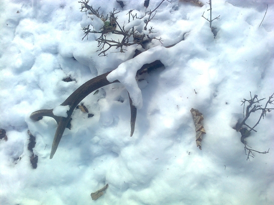 len si tam tak ležal