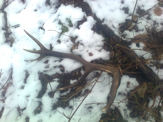 len pár krokov od domu