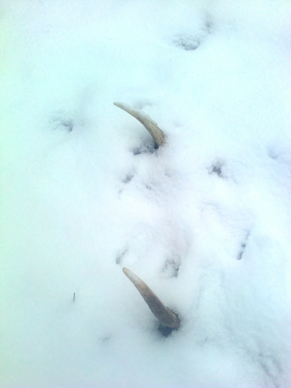 schovaný,neschovaný ... idem !!!