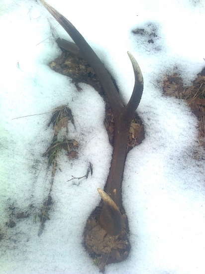 dohľadaný pár k ID fotky  200351