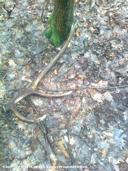 potešenie v daždi
