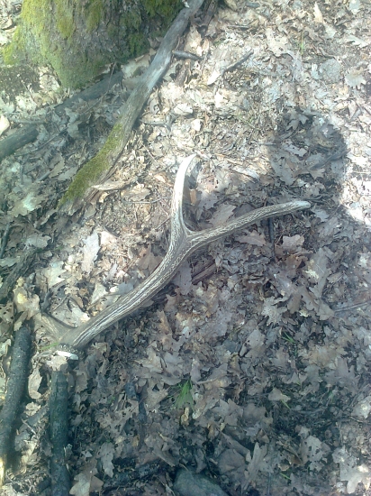 aj dnes sa zadarilo :-)