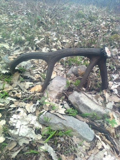 dohľadaný pár k 14-toráku ID fotky 202683