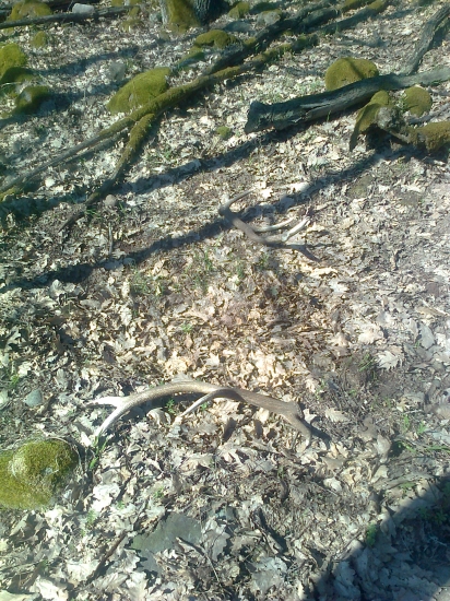 pohľad,ktorý poteší...