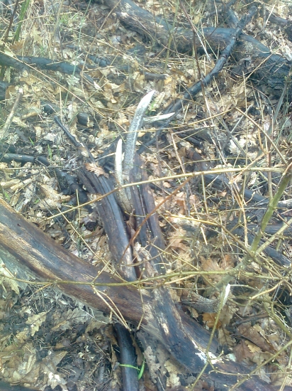 dnešný skrytý 10-torák