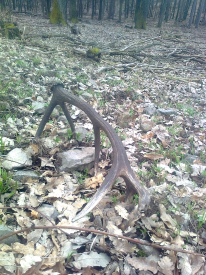 bola to radosť,zbadať ho...