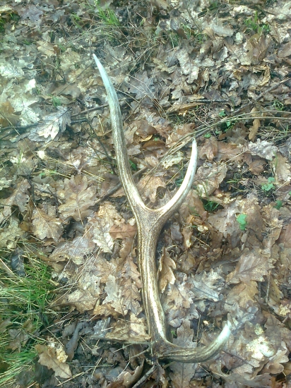 víkendový 6-toráčik