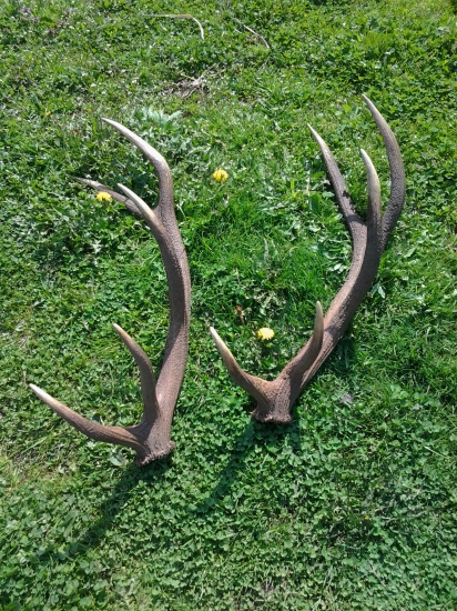 po roku z toho istého