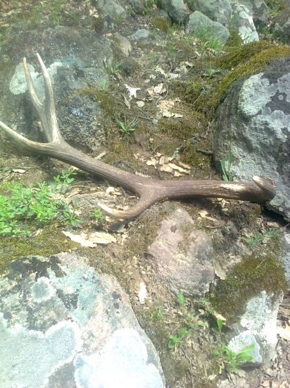 dnešný desaťtorák