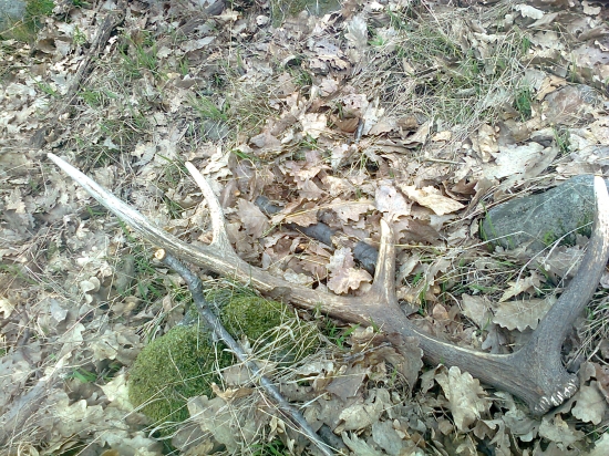 ďaľší do zbierky