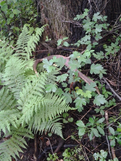 12-torák a prvý pohľad :-)