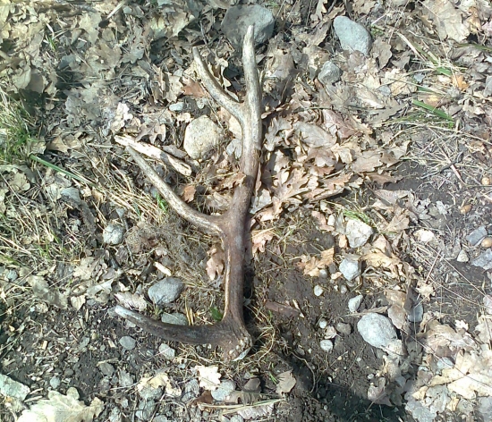 víkendový 10-torák