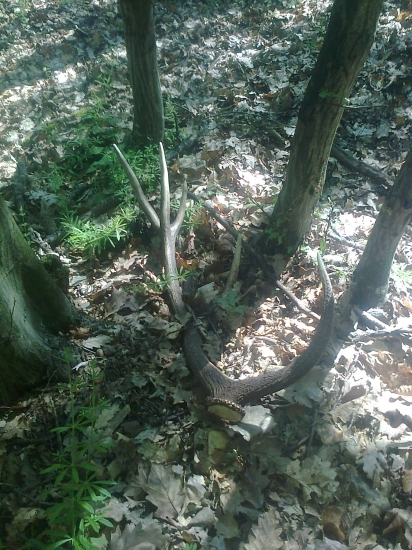 po čase sa opäť zadarilo