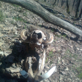 aprílový...iný pohľad