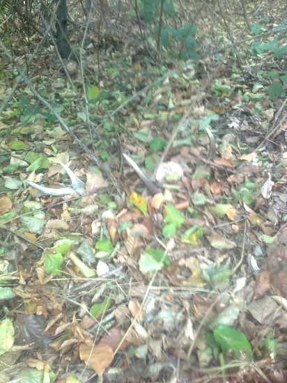 pohľad,ktorý poteší...