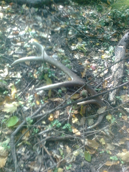 nedeľná prechádzka