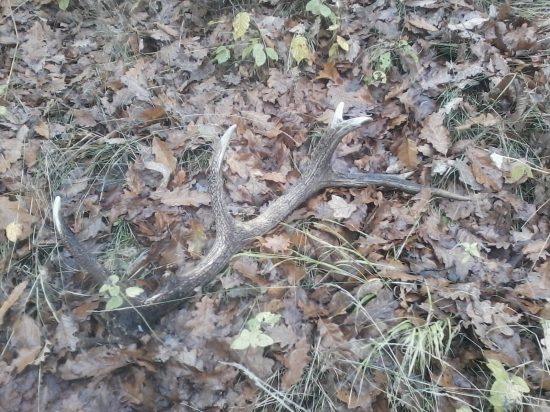 víkendový 14-torák