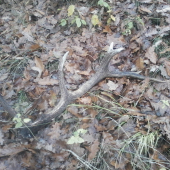 víkendový 14-torák