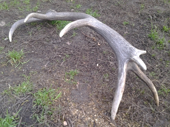 dnešný...na chodníku