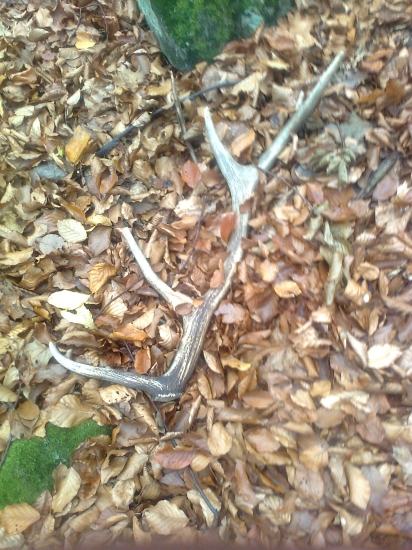 dnešný 10-toráčik