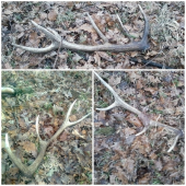 dnešná nádielka:-)