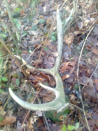 potešenie na Troch kráľov