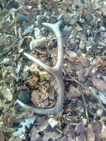 ďaľší do zbierky:-)