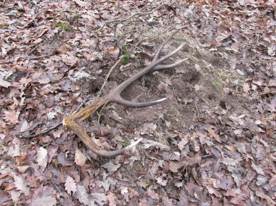 opäť sa zadarilo :)