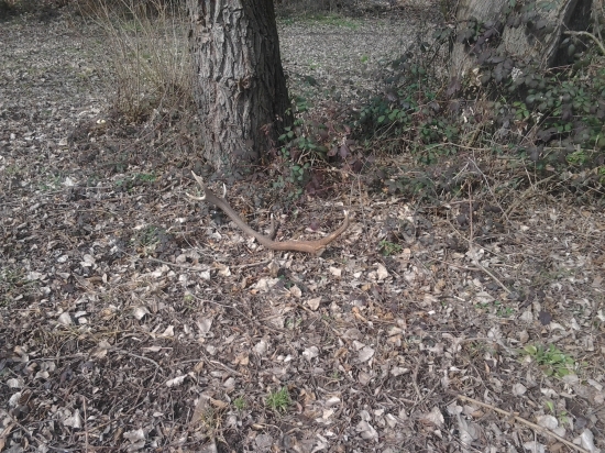 dnešný,super pohľad...