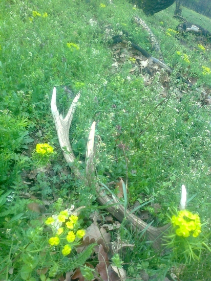 z dnešnej prechádzky