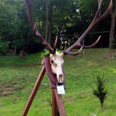 môj naj...úhyn 16 torák - 215,47 bodov