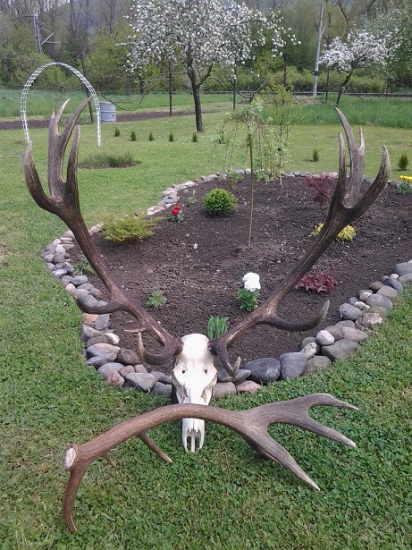 z výstavy je už doma...