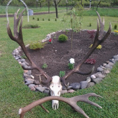 z výstavy je už doma...