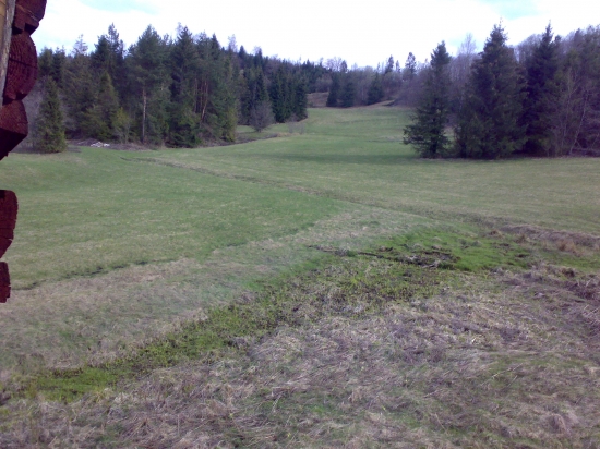 Pastviny pre zver