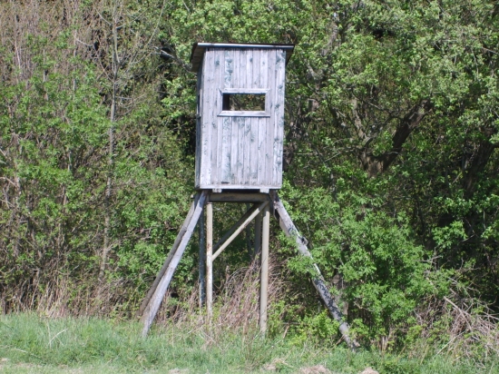 Otomto som nevedel...