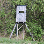 Otomto som nevedel...