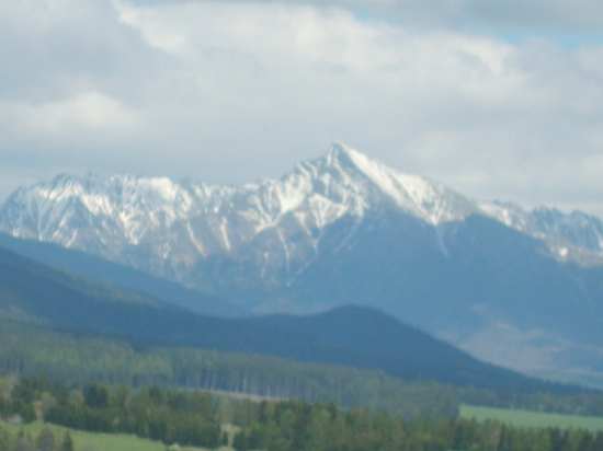 Kriváň