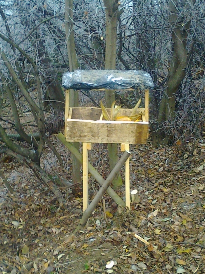 Ničč moc ale snažím sa pomôcť môj prvý