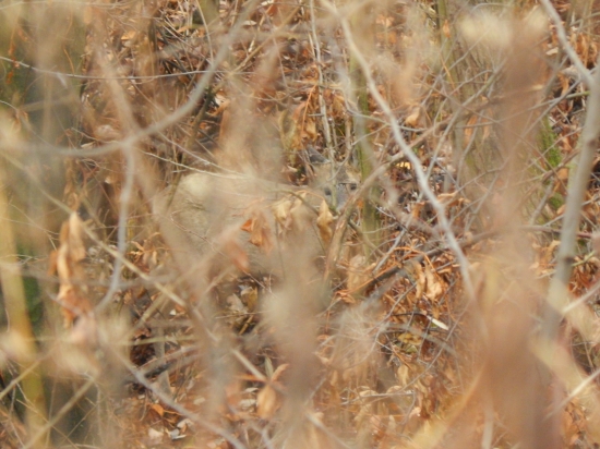 nechcela sa fotiť :(