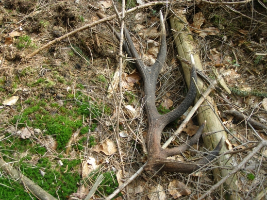 V takový už jsem nedoufal