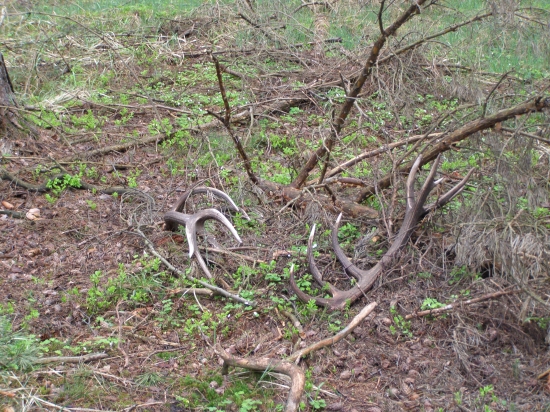 1. května nečekané, ale paráda