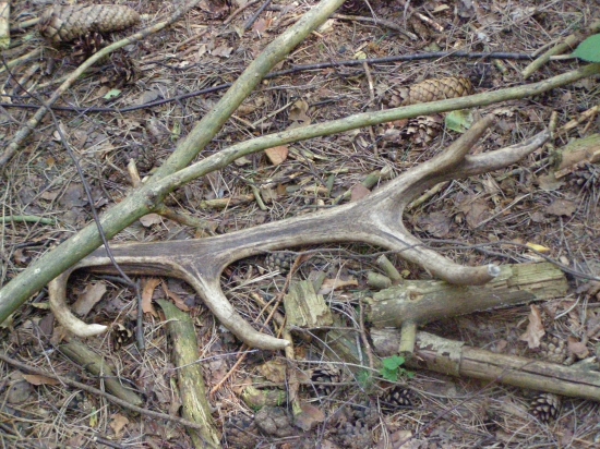 další zachráněný