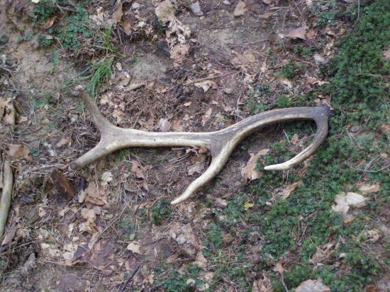 ještě to neskončilo, další pár kompletní