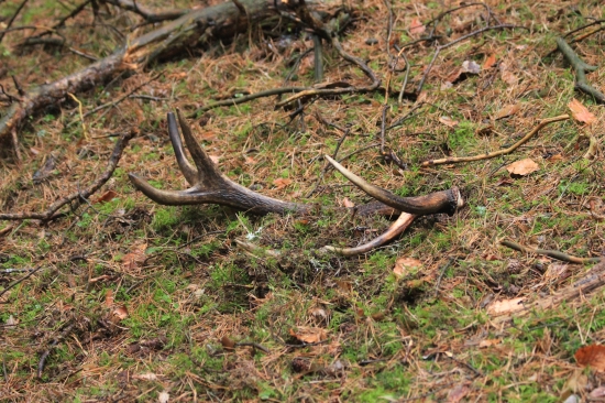 počasí moc nepřálo, ale aspoň jeden další se našel