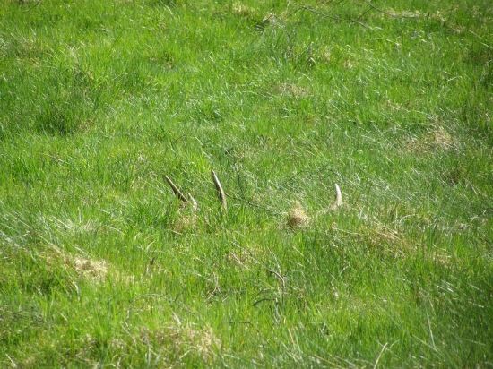 Takový pohled vždy potěší