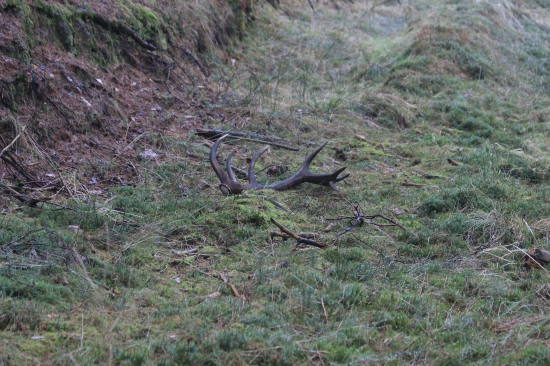 potěšil, druhý se hledá